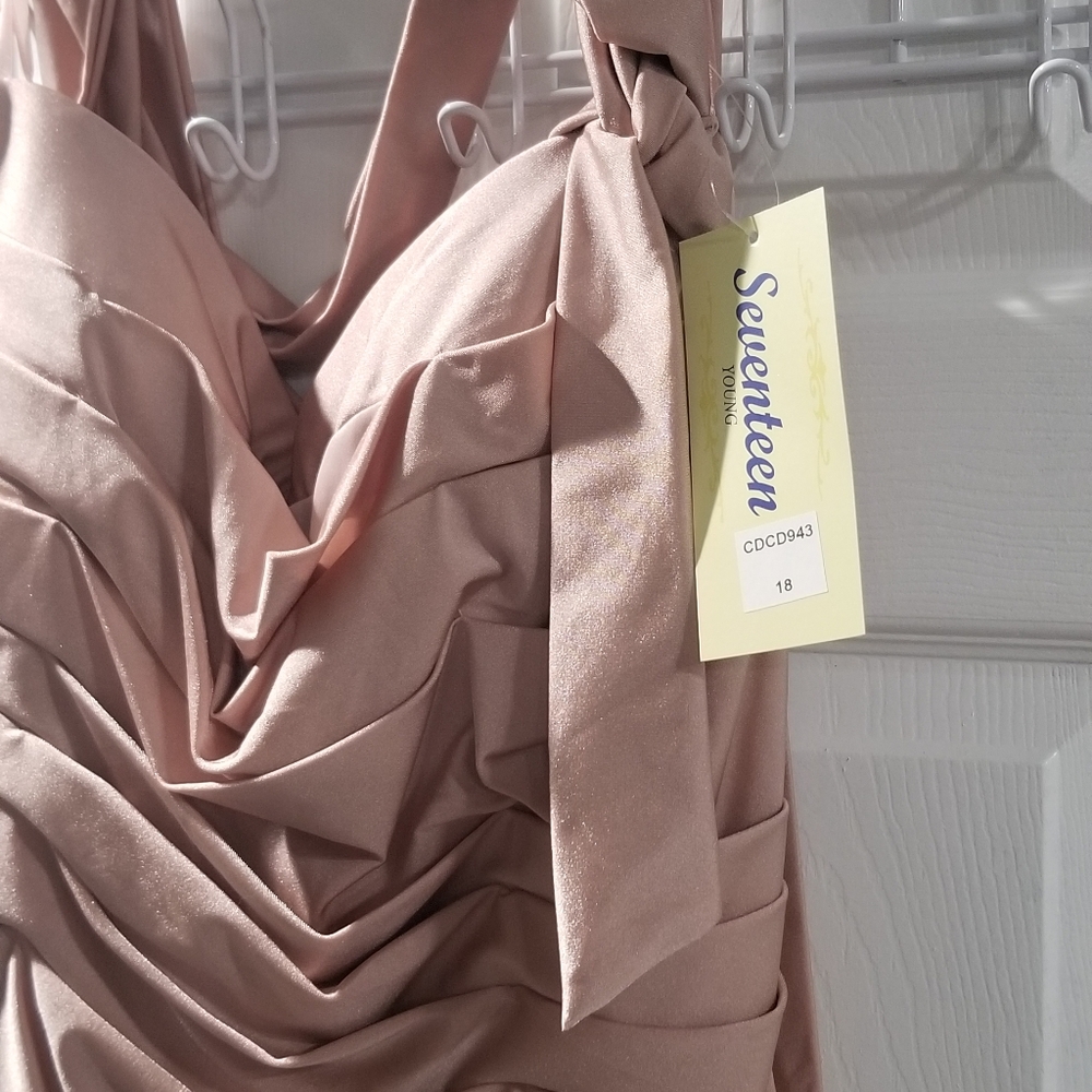 NWT Cinderella Divine CD943 Mauve Plus Size